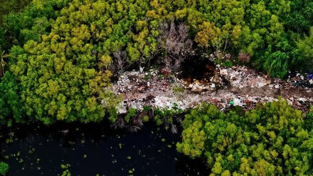 Aerial view of plastic pollution in a mangrove forest Indonesia.