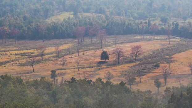View of a rural landscape with sparse trees and forest Nepal.