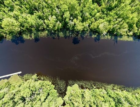 Aerial view of Sixmile Creek flowing through a dense green forest with a small wooden dock and aquatic vegetation along the banks in St. Johns County Florida United States.
