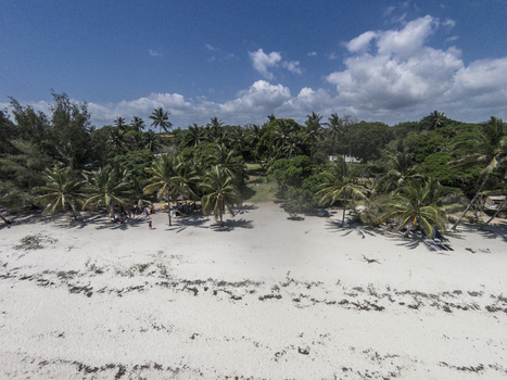 Aerial view of Tiwi Beach with white sand and lush palm trees under a blue sky Tiwi Wilaya ya Kwale Kenya. Aerial view of Tiwi Beach with white sand and lush palm trees under a blue sky Tiwi Wilaya ya Kwale Kenya.