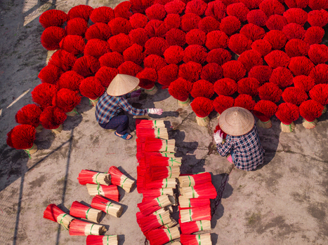 Aerial view of workers wearing traditional conical hats while drying bright red incense sticks on the ground in Vietnam. Aerial view of workers wearing traditional conical hats while drying bright red incense sticks on the ground in Vietnam.