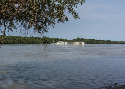 View of a river cruise ship sailing on the Danube river framed by tree branches in the foreground with a lush green riverbank in the background in Budapest Hungary.