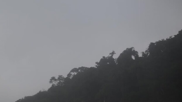 View of tropical forest silhouette under fog Brazil.