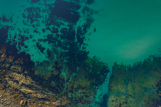 Aerial view of rocky coastline with turquoise sea water and dark seaweed patches in Camborne England United Kingdom.