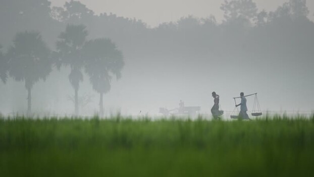 View of people walking through a misty field in Bogura Bangladesh.
