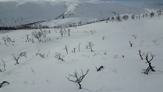 Aerial view of snowy mountains and bare trees in Kvaloya Norway.