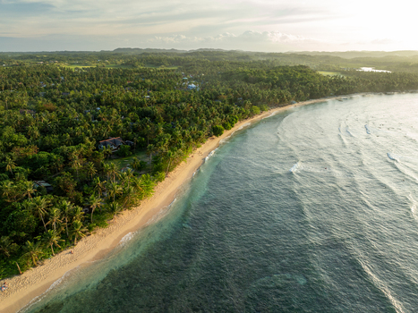 Aerial view of Mahaybo Beach featuring lush palm trees along the sandy coastline and turquoise waves at General Luna Caraga Philippines. Aerial view of Mahaybo Beach featuring lush palm trees along the sandy coastline and turquoise waves at General Luna Caraga Philippines.
