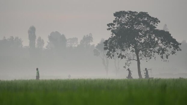 View of farmers walking through misty rice fields Bangladesh.