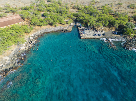 Aerial view of Mahukona Beach Park with its clear turquoise waters rocky shoreline and lush green vegetation in Waimea Hawaii United States.