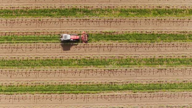 Aerial view of a tractor working in a vineyard Czechia.