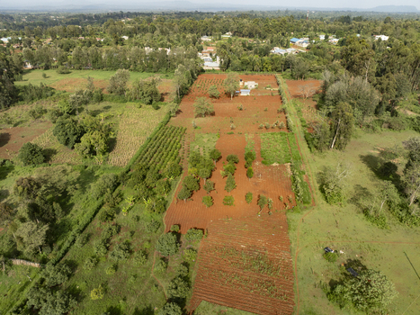 Aerial view of vibrant red soil contrasting with lush green vegetation and cultivated fields a patchwork of textures and tones Nyeri Nyeri Kenya. Aerial view of vibrant red soil contrasting with lush green vegetation and cultivated fields a patchwork of textures and tones Nyeri Nyeri Kenya.