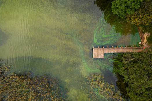 Aerial view of a wooden pier extending into a lake with green algae swirls and lush shoreline vegetation Lithuania. Aerial view of a wooden pier extending into a lake with green algae swirls and lush shoreline vegetation Lithuania.