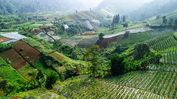 Aerial view of lush terraced agricultural fields and vegetable plantations on rolling hills under a misty morning sky in Sukabumi West Java Indonesia. Aerial view of lush terraced agricultural fields and vegetable plantations on rolling hills under a misty morning sky in Sukabumi West Java Indonesia.