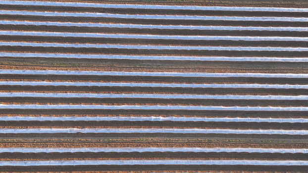Aerial view of polytunnel fruit growing with rows of white plastic covered arch structures protecting crops in the Po Valley near Fiorenzuola d Arda Emilia Romagna Italy. Aerial view of polytunnel fruit growing with rows of white plastic covered arch structures protecting crops in the Po Valley near Fiorenzuola d Arda Emilia Romagna Italy.