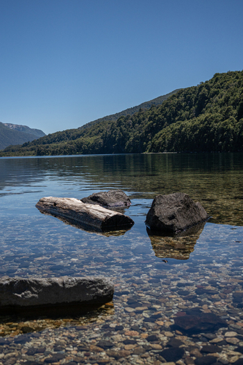 View of Lago Paimun with clear water rocks and driftwood in the foreground against forested mountains under a clear blue sky in Huiliches Department Neuquen Province Argentina.
