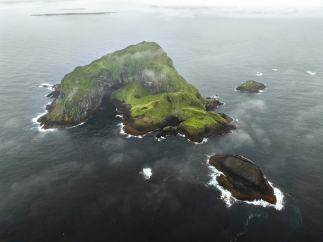Aerial view of a lush green rocky island surrounded by dark ocean waters and mist in the Eastern Region Iceland. Aerial view of a lush green rocky island surrounded by dark ocean waters and mist in the Eastern Region Iceland.
