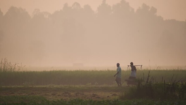 View of farmers walking through misty fields at sunrise Bangladesh.