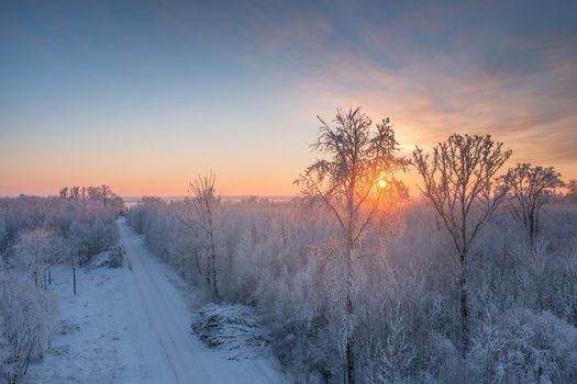Aerial view of a snow covered forest at sunrise with a road winding through the frost covered trees in Pilsrundale Bauska Municipality Latvia.