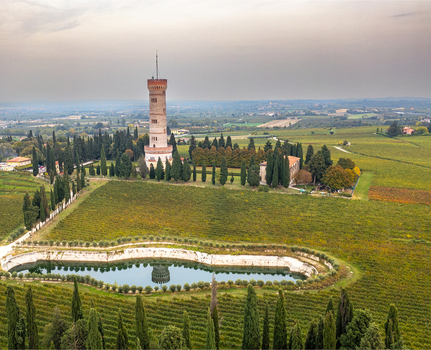 Aerial view of the Tower of San Martino della Battaglia surrounded by lush vineyards cypress trees and a small pond in San Martino della Battaglia Lombardia Italy. Aerial view of the Tower of San Martino della Battaglia surrounded by lush vineyards cypress trees and a small pond in San Martino della Battaglia Lombardia Italy.