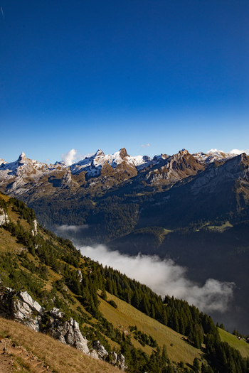 View of the Swiss Alps with snow capped peaks dense pine forests and clouds settling in the valley under a clear blue sky in Airolo Ticino Switzerland. View of the Swiss Alps with snow capped peaks dense pine forests and clouds settling in the valley under a clear blue sky in Airolo Ticino Switzerland.