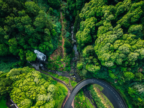 Aerial view of the winding road snaking through verdant forests with a glimpse of a waterfall cascading amidst the lush greenery Achada Açores Portugal. Aerial view of the winding road snaking through verdant forests with a glimpse of a waterfall cascading amidst the lush greenery Achada Açores Portugal.