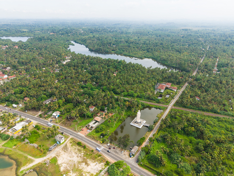 Aerial view of the Tsunami Honganji Viharaya Buddha statue standing in a pond surrounded by dense tropical palm trees and a winding road in Peraliya Southern Province Sri Lanka. Aerial view of the Tsunami Honganji Viharaya Buddha statue standing in a pond surrounded by dense tropical palm trees and a winding road in Peraliya Southern Province Sri Lanka.