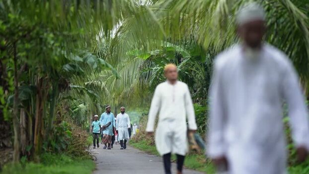 View of people walking on a path lined with palm trees Bangladesh. View of people walking on a path lined with palm trees Bangladesh.
