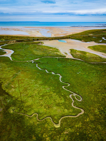 Aerial view of the winding Havre de Gefosses river flowing through vibrant green marshlands towards the sandy estuary and the sea in Geffosses Normandy France.