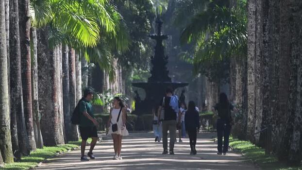 View of people walking in Jardim Botanico Brazil.