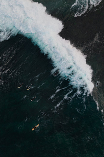 Aerial view of surfers waiting for waves in the ocean at Dee Why New South Wales Australia.