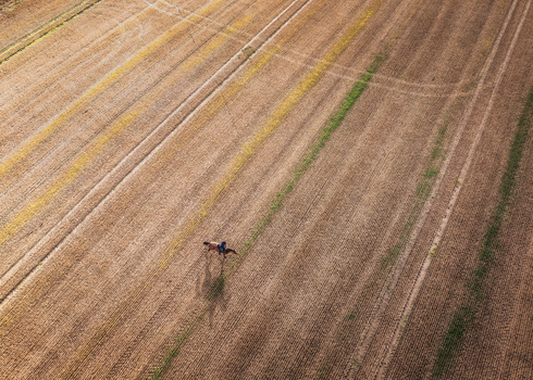 Aerial view of a person riding a horse through a vast harvested field with visible tractor tracks in Oldtown County Dublin Ireland. Aerial view of a person riding a horse through a vast harvested field with visible tractor tracks in Oldtown County Dublin Ireland.