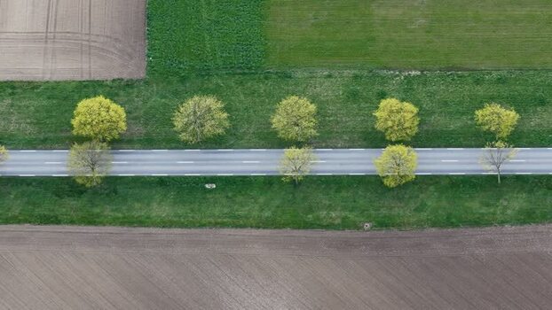 Aerial view of car driving on road with trees France.