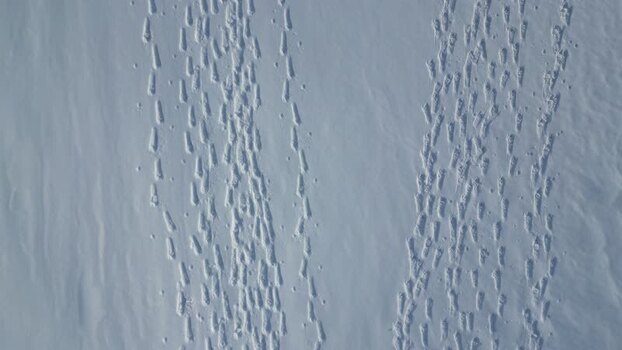 Aerial view of footprints in deep snow on Kvaloya Norway.