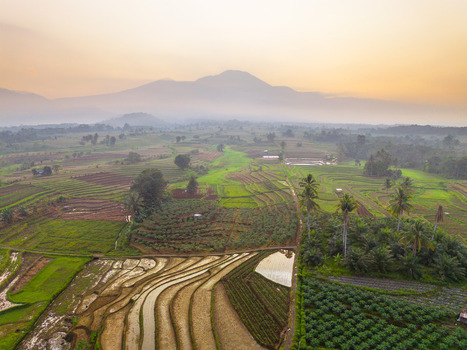 Aerial view of Kemumu terraced rice fields surrounded by lush greenery and palm trees under a hazy morning sky in Arma Jaya Bengkulu Indonesia. Aerial view of Kemumu terraced rice fields surrounded by lush greenery and palm trees under a hazy morning sky in Arma Jaya Bengkulu Indonesia.
