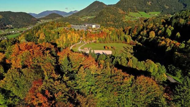 Aerial view of autumn forest near Attersee Austria.