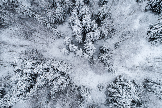 Aerial view of a dense forest covered in fresh white snow during winter in Latvia. Aerial view of a dense forest covered in fresh white snow during winter in Latvia.