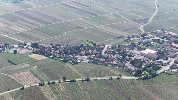 Aerial view of a village surrounded by vineyards in Selestat France.