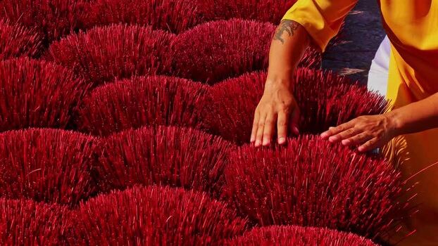 View of hands arranging red incense sticks Vietnam.