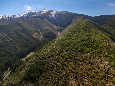 Aerial view of lush green forested slopes and a winding mountain path with snow capped peaks in the background under a clear blue sky in Demanovska Dolina Zilina Region Slovakia. Aerial view of lush green forested slopes and a winding mountain path with snow capped peaks in the background under a clear blue sky in Demanovska Dolina Zilina Region Slovakia.