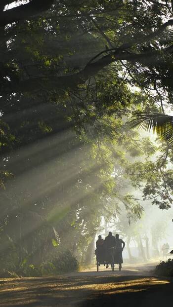 View of a rickshaw on a misty road with sunbeams Bangladesh.