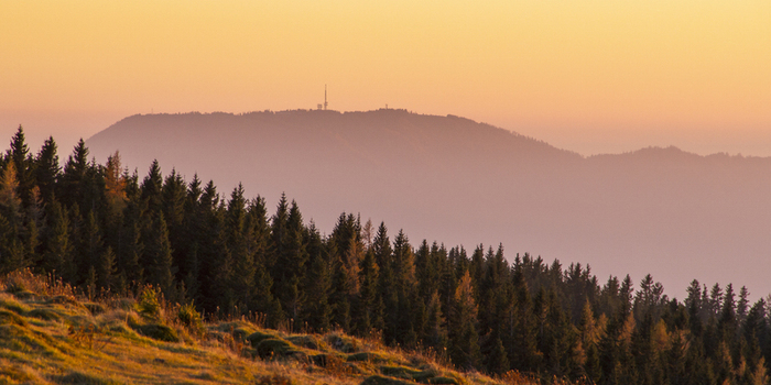 View of golden light painting the grassy slopes and dark green forest with a distant mountain silhouette under a pastel sky Sommeralm Steiermark Austria. View of golden light painting the grassy slopes and dark green forest with a distant mountain silhouette under a pastel sky Sommeralm Steiermark Austria.