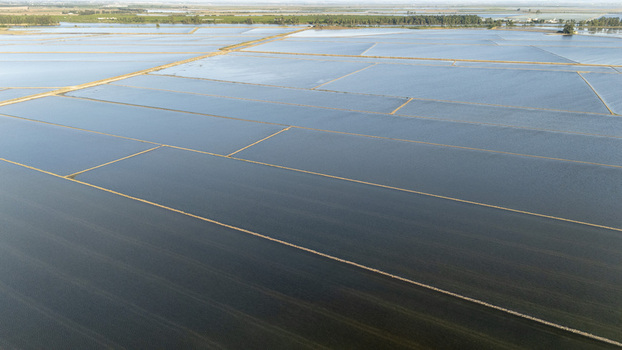 Aerial view of flooded rice paddies at Isla Minima with geometric water patterns and narrow dirt paths under a clear sky in Coria del Rio Andalusia Spain. Aerial view of flooded rice paddies at Isla Minima with geometric water patterns and narrow dirt paths under a clear sky in Coria del Rio Andalusia Spain.