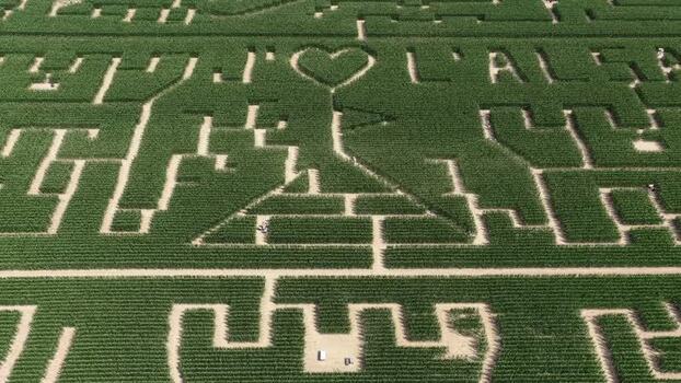 Aerial view of Labyrinthis corn maze in Soultz Haut Rhin France.