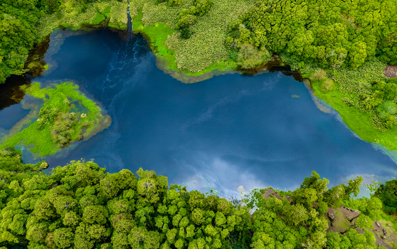 Aerial view of a serene dark blue lake embraced by vibrant green vegetation creating a striking contrast of color and texture Flores Azores Portugal.