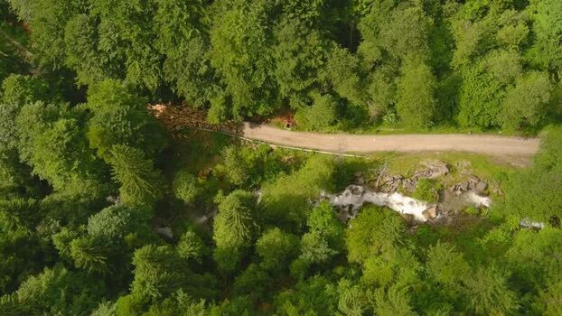 Aerial view of a forest road and waterfall ROMANIA. Aerial view of a forest road and waterfall ROMANIA.