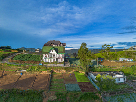 Aerial view of a house with a green roof surrounded by vegetable fields and tea plantations in the hilly landscape of Nuwara Eliya Central Province Sri Lanka. Aerial view of a house with a green roof surrounded by vegetable fields and tea plantations in the hilly landscape of Nuwara Eliya Central Province Sri Lanka.