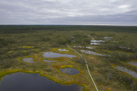 Aerial view of Viru bog nature trail with wooden boardwalk winding through the marshland small pools of water and dense forest in Loksa Harju maakond Estonia. Aerial view of Viru bog nature trail with wooden boardwalk winding through the marshland small pools of water and dense forest in Loksa Harju maakond Estonia.