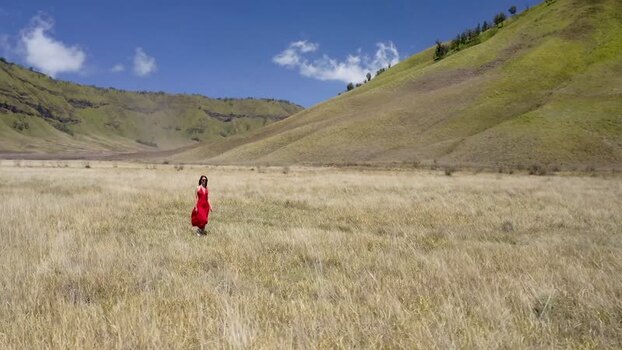Aerial view of a woman in a red dress walking in a field in Bali Indonesia.