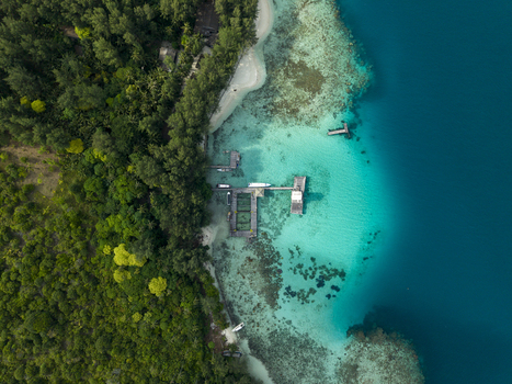 Aerial view of the vibrant turquoise waters meeting the lush green coastline near Shark Breeding Menjangan Kecil Karimunjawa Central Java Indonesia.