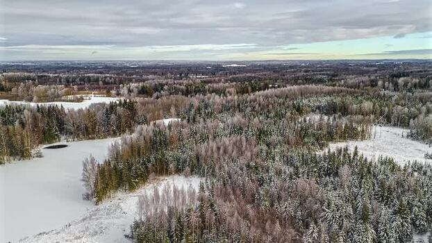 Aerial view of snowy forest and frozen lake in Latvia. Aerial view of snowy forest and frozen lake in Latvia.